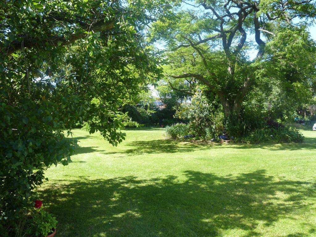 草莓小屋住宿加早餐旅馆 赫奇恩德 外观 照片