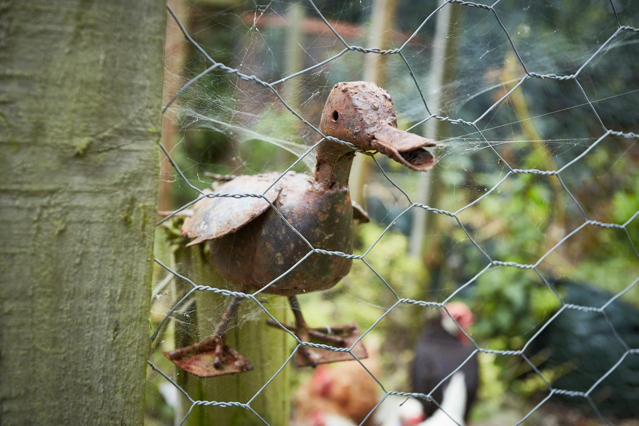 草莓小屋住宿加早餐旅馆 赫奇恩德 外观 照片